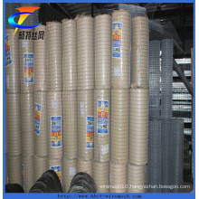 in Stock Welded Wire Mesh with High Quality